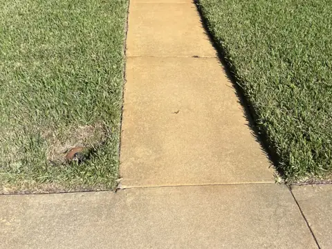 Concrete walkway stained orange by sprinkler rust