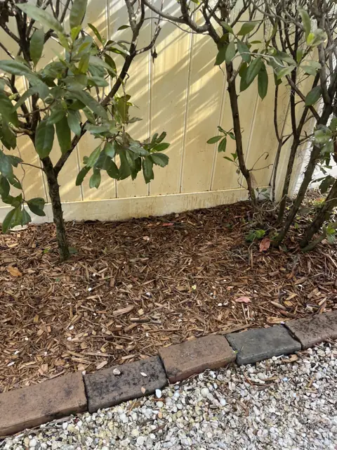 Fence behind a planting bed stained by irrigation spray, before