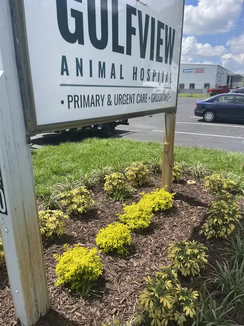 Gulfview Animal Hospital sign post stained orange by irrigation, before