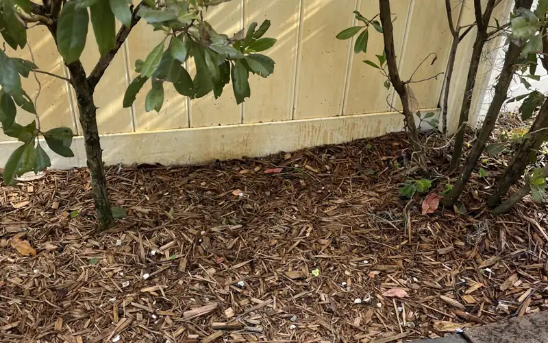 Irrigation rust staining from well-water sprinklers