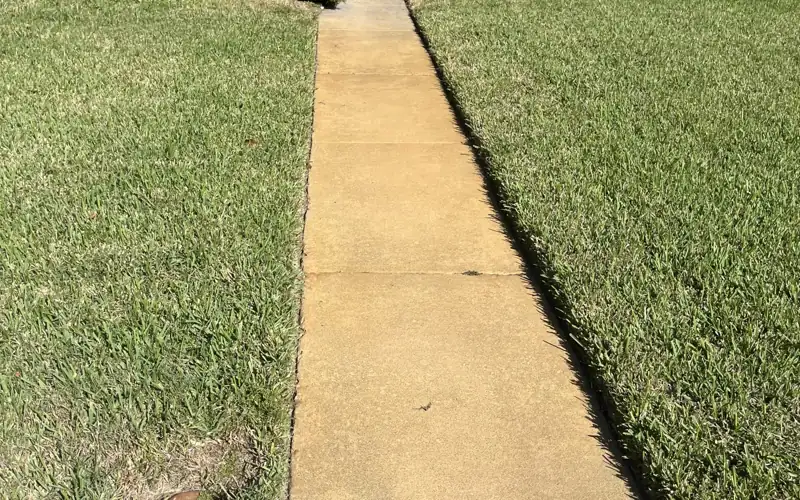Irrigation rust staining from well-water sprinklers