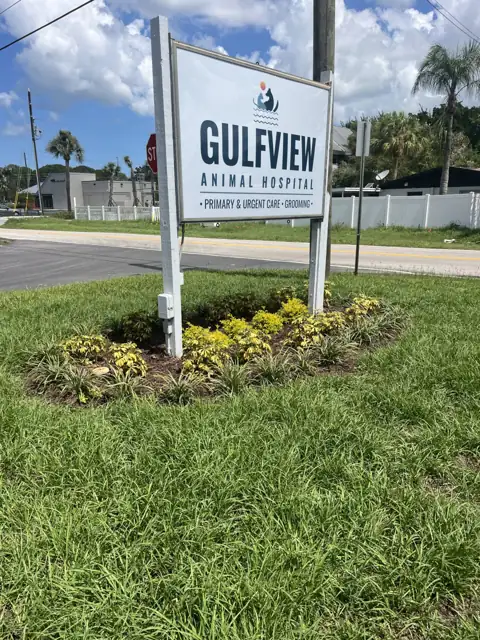 Gulfview Animal Hospital sign after irrigation rust removal