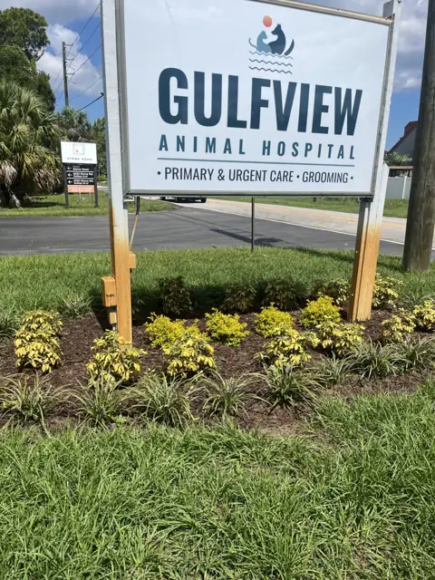 Gulfview Animal Hospital sign posts stained orange by irrigation, before