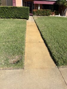 Orange sprinkler rust stains on a concrete walkway before professional irrigation rust removal