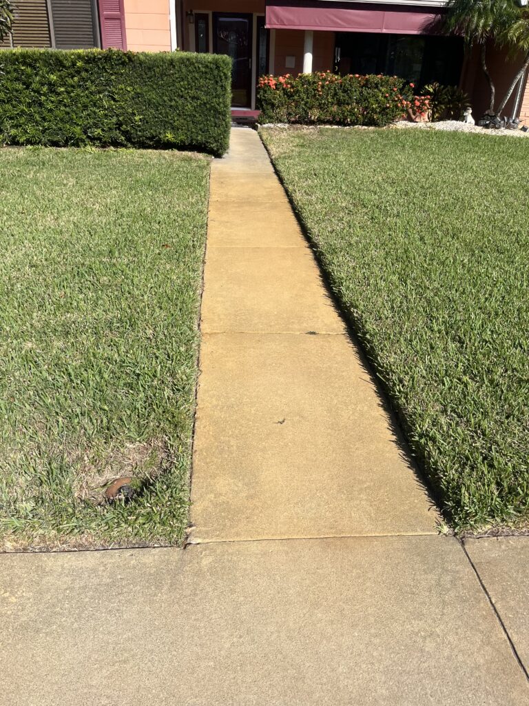 Orange sprinkler rust stains on a concrete walkway before professional irrigation rust removal