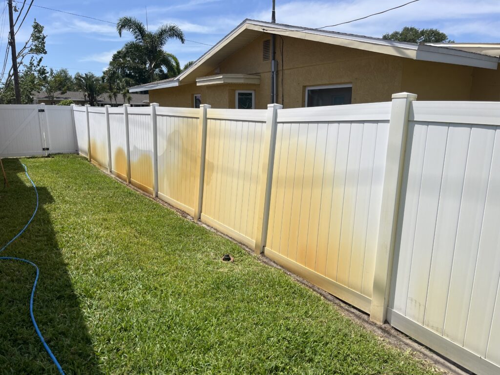 IMG 6294 1024x768
